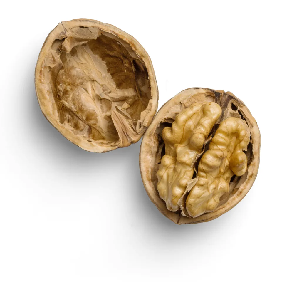 Walnuts on white